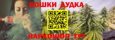 ALPHA PVP Бийск