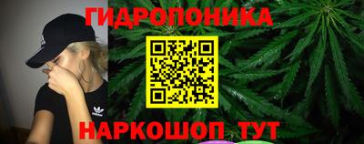 ALPHA PVP Бийск