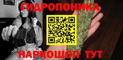 гашик Берёзовский